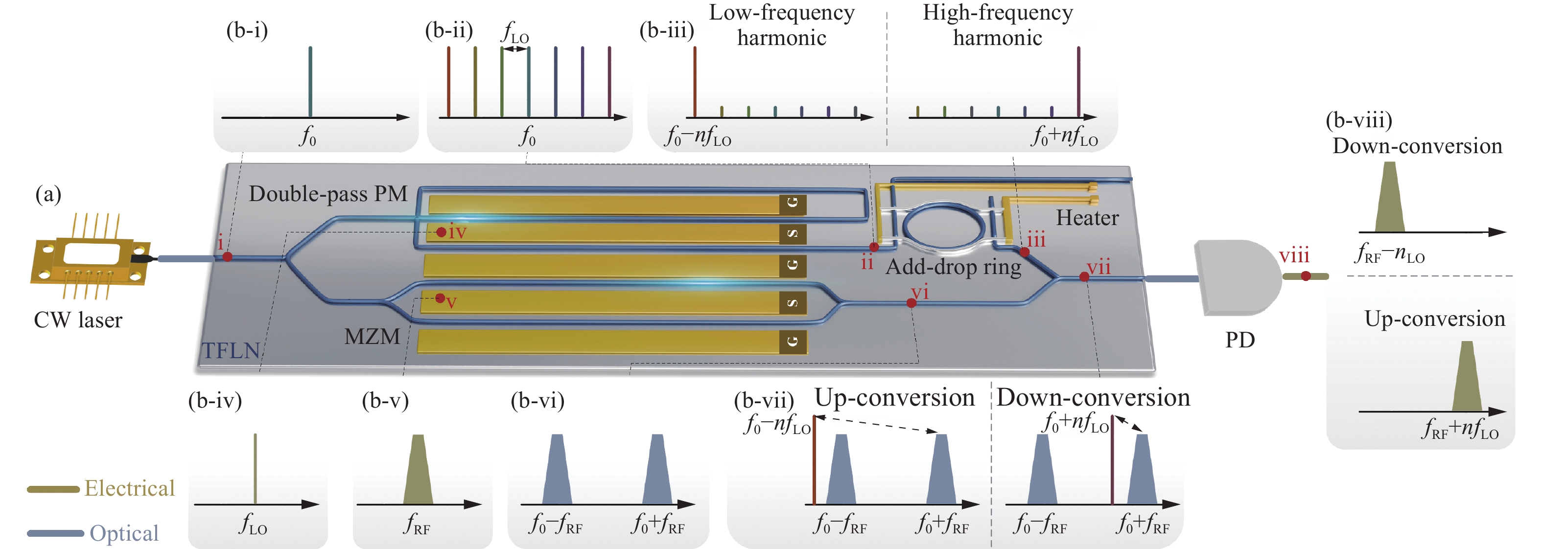 シン Ferroelectric domain engineering of Lithium niobate | Opto
