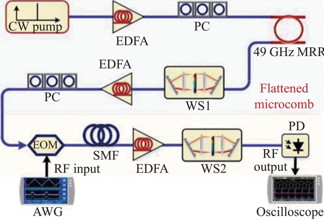 Microwave Photonic Links and Transversal Microwave Photonic
