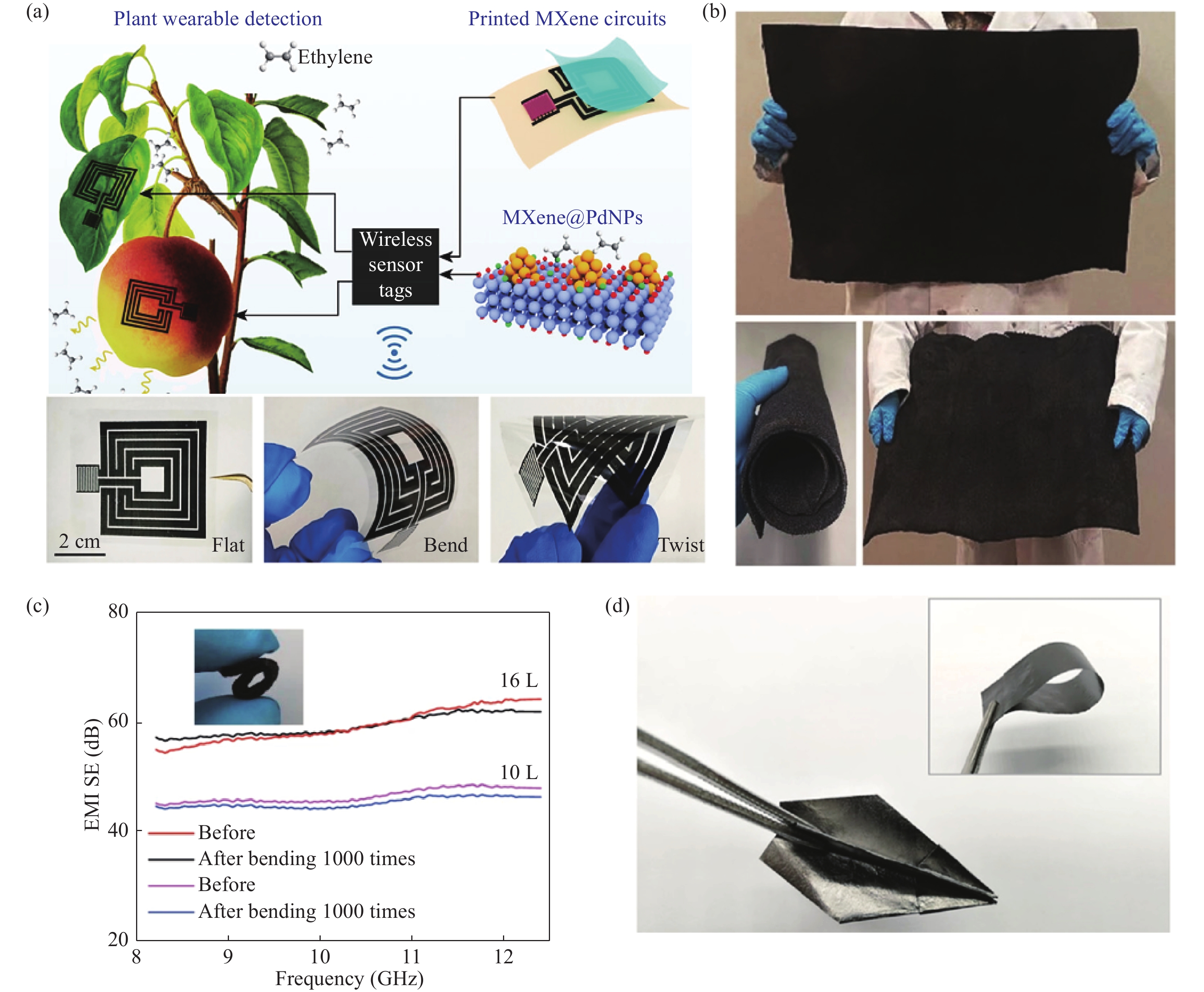 公式写真Ｄ An overview of co‐catalysts on metal oxides for